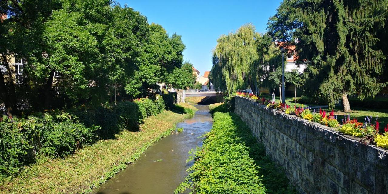 Patak Apartman Eger Buitenkant foto